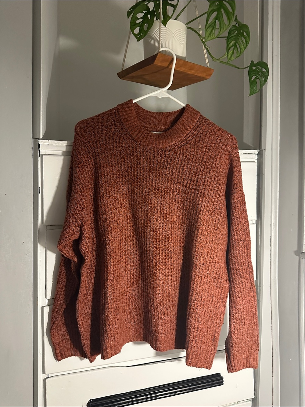 American Eagle Outfitters Ribbed Crewneck Sweater in Rust
